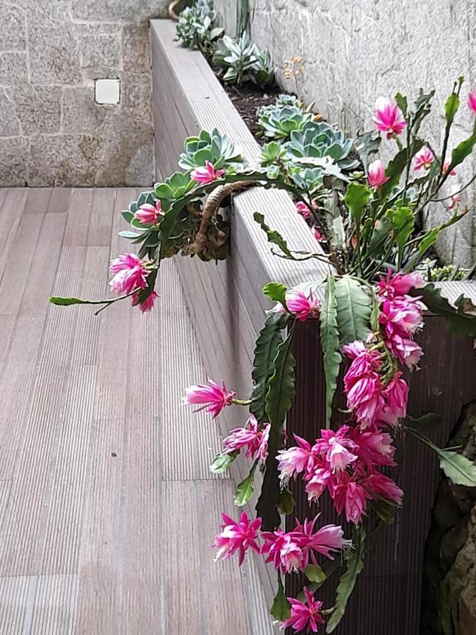 Apartament Casa Da Nau Vila do Conde Zewnętrze zdjęcie